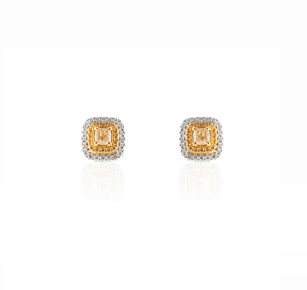 Fancy Yellow Medium Earrings
