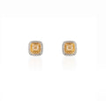 Fancy Yellow Medium Earrings
