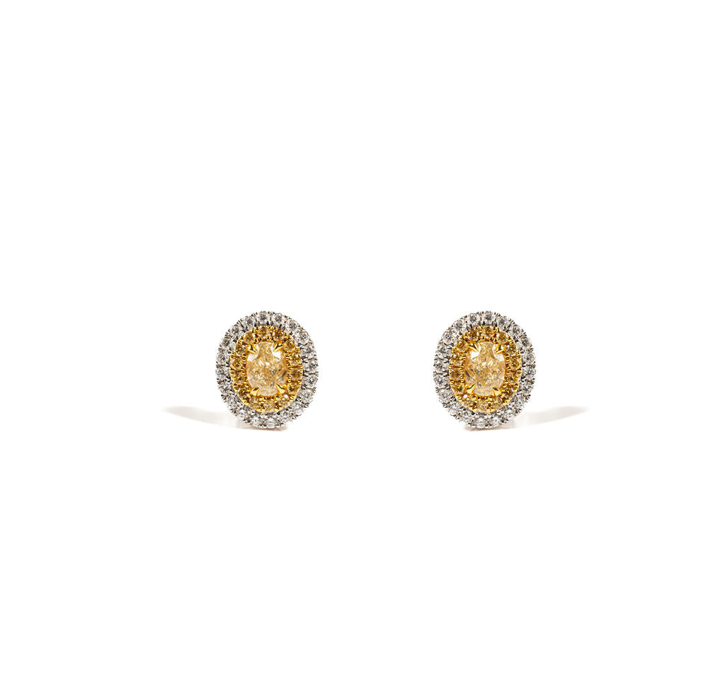Oval Yellow Earrings