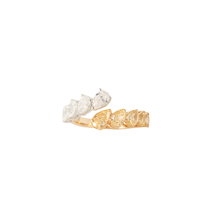 Fancy Ring